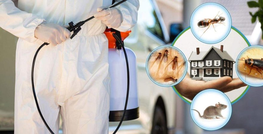 Avanos Böcek İlaçlama