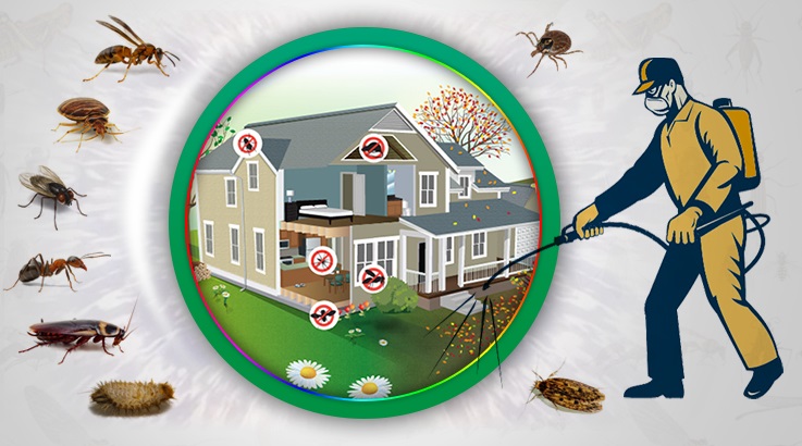 Avanos Böcek İlaçlama