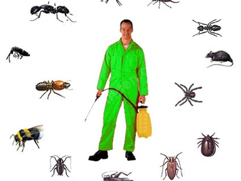 Avanos Böcek İlaçlama